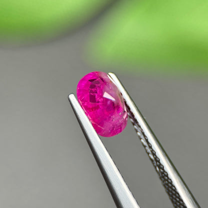 1,40ct Natural Ruby Viet Nam. Cushion Shape. No Treatment Ruby Luc Yen.