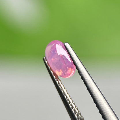 0.67ct Natural Pink Cacbochon Sapphire Viet Nam. No treatment.