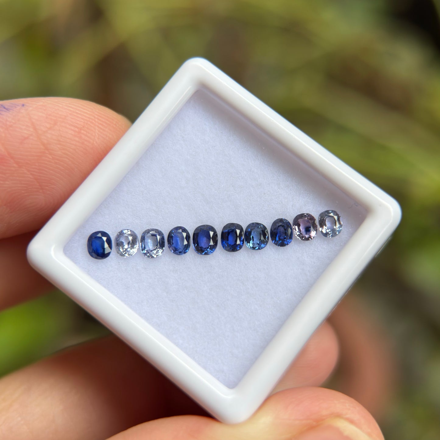 1,25ct/ 10Pcs Natural Blue & White Sapphire Viet Nam. Cushion Shape. No Treatment Sapphire Luc Yen.