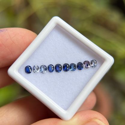 1,25ct/ 10Pcs Natural Blue & White Sapphire Viet Nam. Cushion Shape. No Treatment Sapphire Luc Yen.