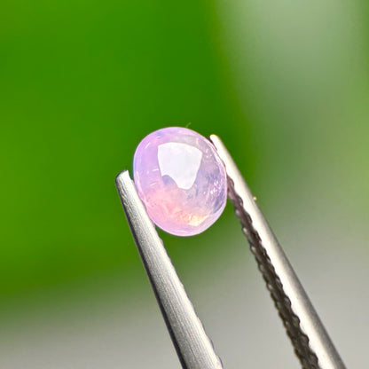 0.48ct Natural Pink Cacbochon Sapphire Viet Nam. No treatment Sapphire Luc Yen.