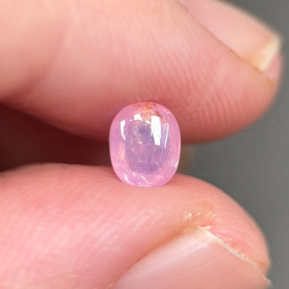0,97ct Natural Pink Cacbochon Sapphire Viet Nam. No Treatment Sapphire Luc Yen.