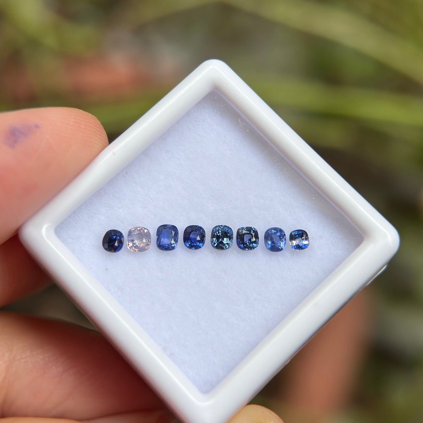 0,86ct/ 8Pcs Natural Blue & White Sapphire Viet Nam. Cushion Shape. No Treatment Sapphire Luc Yen.