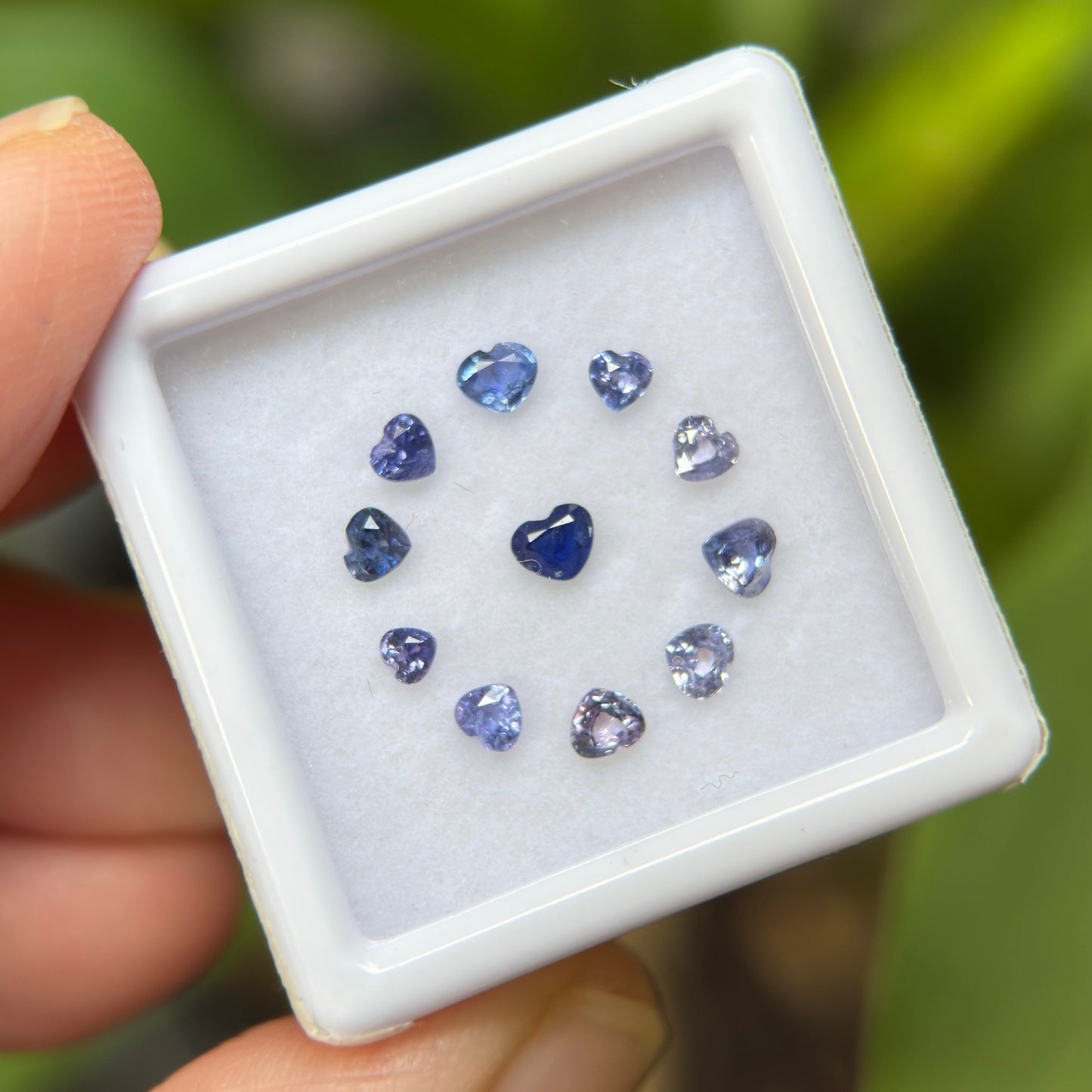 1,12ct/ 11Pcs Natural Blue & Purple Sapphire Viet Nam. Heart Shape. No Treatment Sapphire Luc Yen.