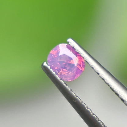 0,29ct Natural Pink Milky Sapphire Vietnam. Cushion Shape. No Treatment Milky Sapphire Luc Yen.