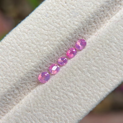 0.78 ct / 5Pcs Natural Pink  Milky Sapphire Viet Nam. Cushion Shape. No treatment.