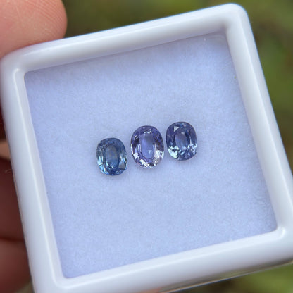 1,12ct/ 3Pcs Natural Blue Sapphire Viet Nam. Cushion Shape. No Treatment Sapphire Luc Yen.
