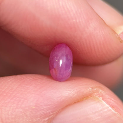 1,16ct Natural Pink Cacbochon Sapphire Viet Nam. No Treatment Sapphire Luc Yen.
