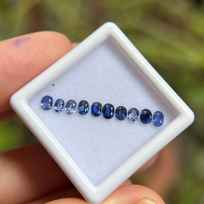 1,33ct/ 10Pcs Natural Blue Sapphire Viet Nam. Cushion & Oval Shape. No Treatment Sapphire Luc Yen.