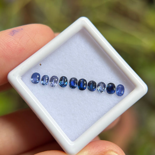 1,33ct/ 10Pcs Natural Blue Sapphire Viet Nam. Cushion & Oval Shape. No Treatment Sapphire Luc Yen.