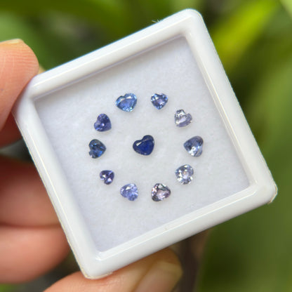 1,12ct/ 11Pcs Natural Blue & Purple Sapphire Viet Nam. Heart Shape. No Treatment Sapphire Luc Yen.