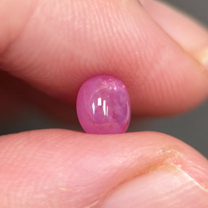 1,16ct Natural Pink Cacbochon Sapphire Viet Nam. No Treatment Sapphire Luc Yen.