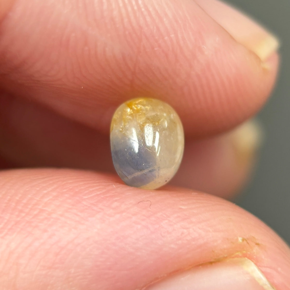 1,43ct Natural Yellow Milky Cacbochon Sapphire Viet Nam. No Treatment Sapphire Luc Yen.