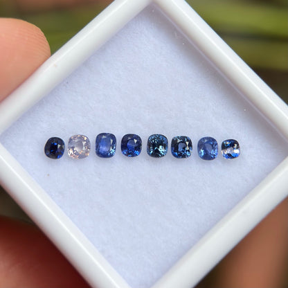 0,86ct/ 8Pcs Natural Blue & White Sapphire Viet Nam. Cushion Shape. No Treatment Sapphire Luc Yen.