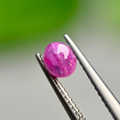 0,73ct Natural Pink Cacbochon Sapphire Viet Nam. No Treatment Sapphire Luc Yen.