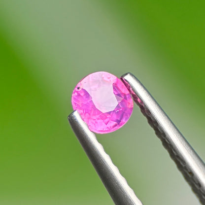 0.32 ct Natural Pink Milky Sapphire Vietnam. Cushion Shape. Unheat.