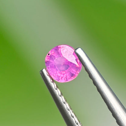 0.32 ct Natural Pink Milky Sapphire Vietnam. Cushion Shape. Unheat.