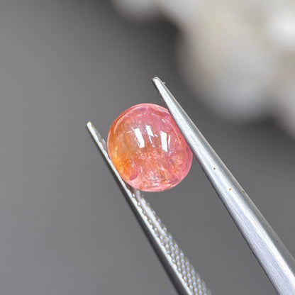 2,61ct Natural Orange Cacbochon Sapphire Viet Nam. No Treatment Sapphire Luc Yen.