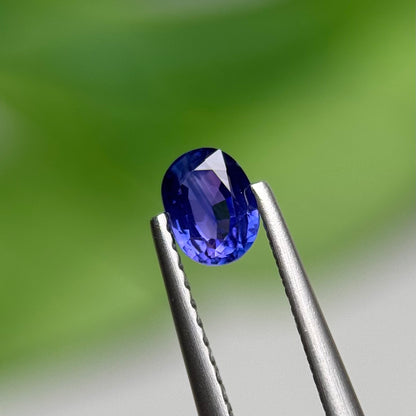 0.52 ct Natural Blue Sapphire Vietnam. Oval Shape. No Treatment.