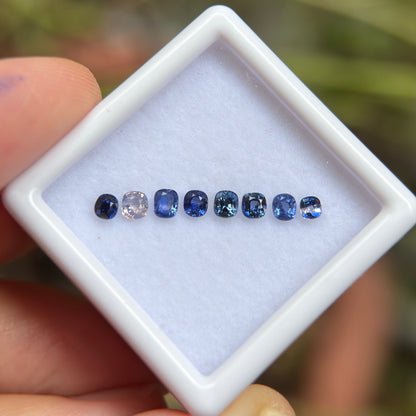 0,86ct/ 8Pcs Natural Blue & White Sapphire Viet Nam. Cushion Shape. No Treatment Sapphire Luc Yen.