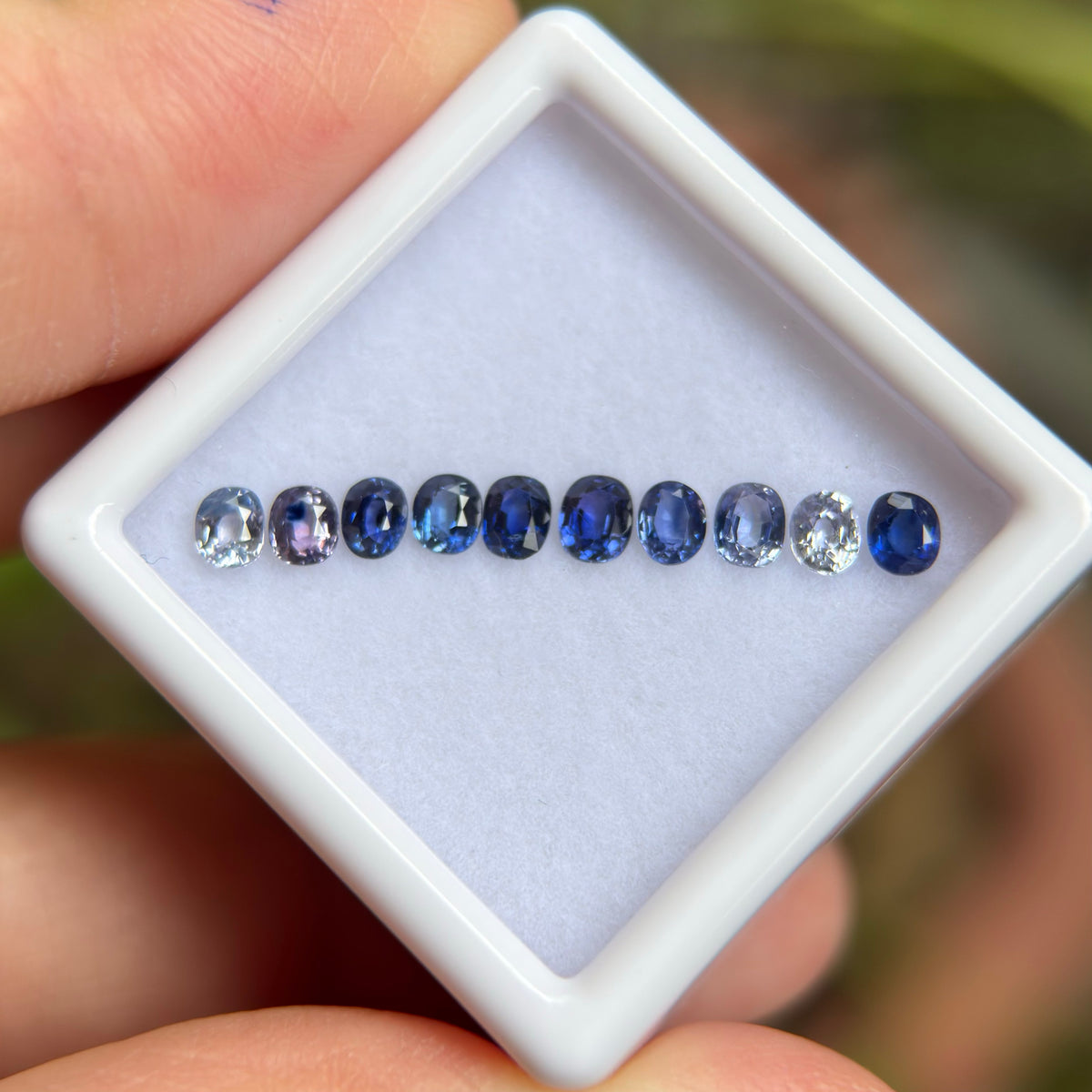 1,25ct/ 10Pcs Natural Blue & White Sapphire Viet Nam. Cushion Shape. No Treatment Sapphire Luc Yen.