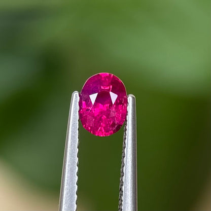 0.60 ct Natural Ruby Viet Nam. Oval Shape. No treatment.