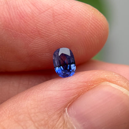 0.50 ct Natural Bicolour Blue - White Sapphire Vietnam. Cushion Shape. No Treatment.