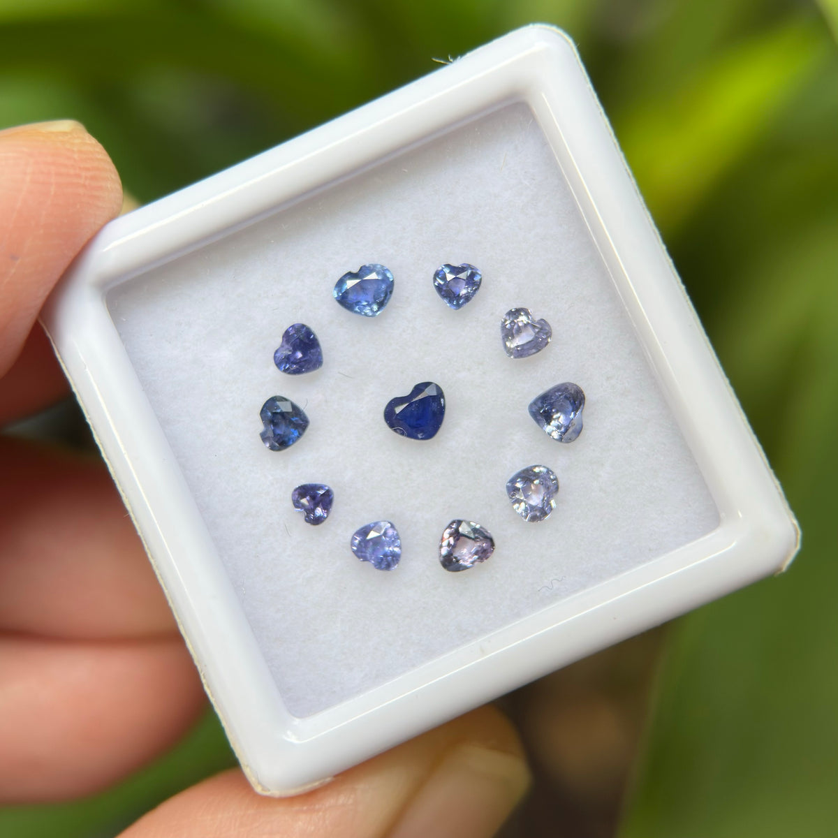 1,12ct/ 11Pcs Natural Blue & Purple Sapphire Viet Nam. Heart Shape. No Treatment Sapphire Luc Yen.