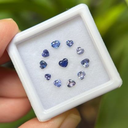 1,12ct/ 11Pcs Natural Blue & Purple Sapphire Viet Nam. Heart Shape. No Treatment Sapphire Luc Yen.