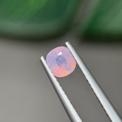 0.69 ct Natural Pink Milky Sapphire Vietnam. Cushion Shape. No Treatment.