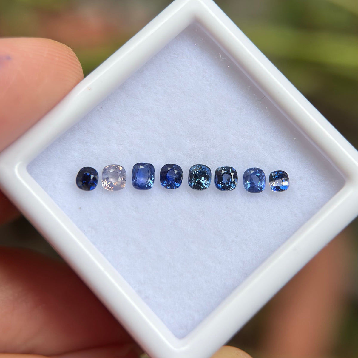 0,86ct/ 8Pcs Natural Blue & White Sapphire Viet Nam. Cushion Shape. No Treatment Sapphire Luc Yen.