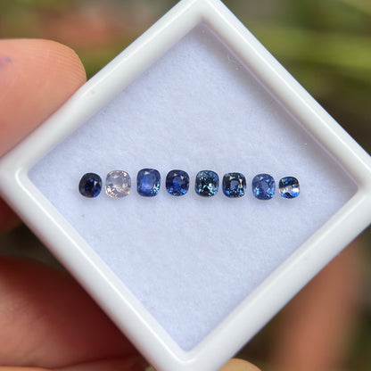 0,86ct/ 8Pcs Natural Blue & White Sapphire Viet Nam. Cushion Shape. No Treatment Sapphire Luc Yen.