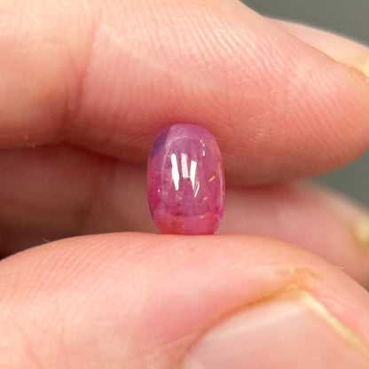 1,84ct Natural Pink Milky Cacbochon Sapphire Viet Nam. No Treatment Sapphire Luc Yen.