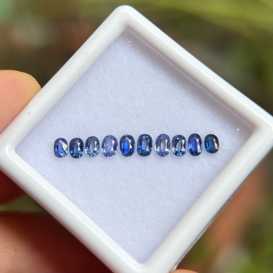 0,91ct/ 10Pcs Natural Blue Sapphire Viet Nam. Cushion & Oval Shape. No Treatment Sapphire Luc Yen.