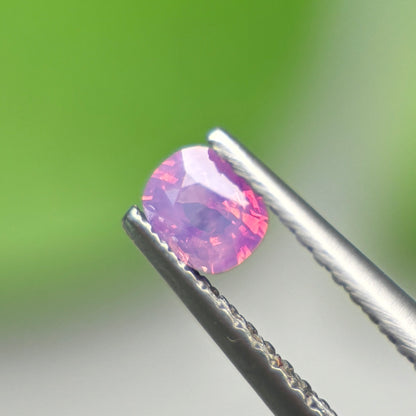0,29ct Natural Pink Milky Sapphire Vietnam. Cushion Shape. No Treatment Milky Sapphire Luc Yen.