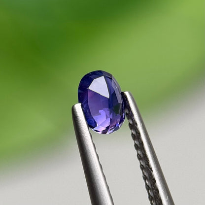 0.52 ct Natural Blue Sapphire Vietnam. Oval Shape. No Treatment.