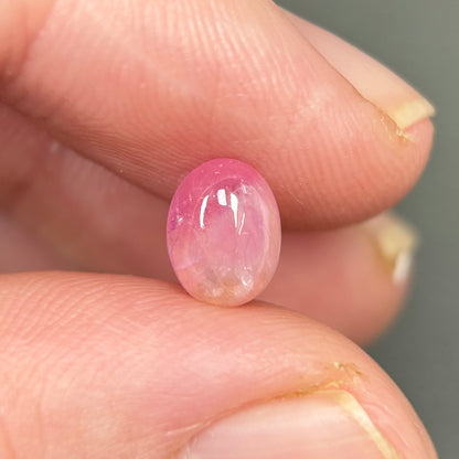1,76ct Natural Pink Cacbochon Sapphire Viet Nam. No Treatment Sapphire Luc Yen.