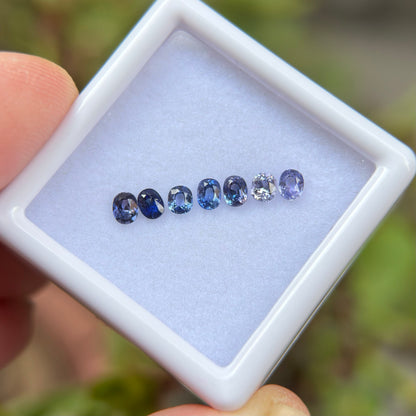 0,77ct/ 7Pcs Natural Blue Sapphire Viet Nam. Cushion Shape. No Treatment Sapphire Luc Yen.