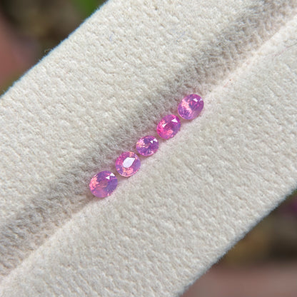 0.78 ct / 5Pcs Natural Pink  Milky Sapphire Viet Nam. Cushion Shape. No treatment.