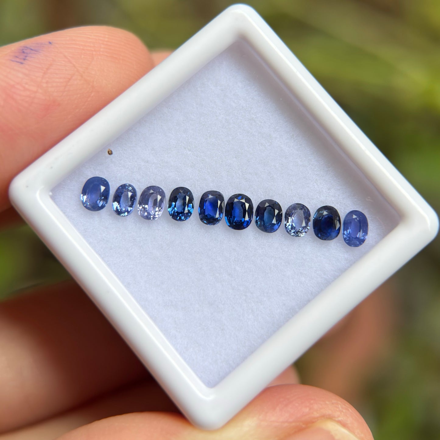 1,33ct/ 10Pcs Natural Blue Sapphire Viet Nam. Cushion & Oval Shape. No Treatment Sapphire Luc Yen.