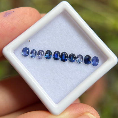 1,33ct/ 10Pcs Natural Blue Sapphire Viet Nam. Cushion & Oval Shape. No Treatment Sapphire Luc Yen.