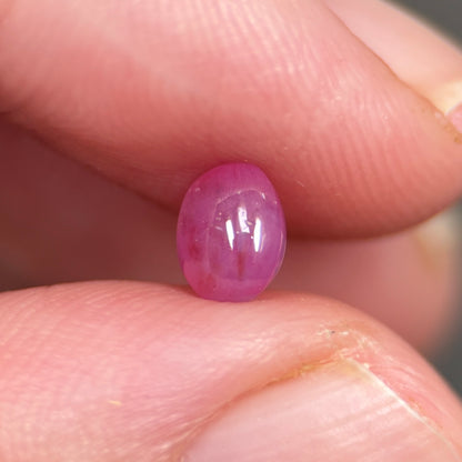 1,16ct Natural Pink Cacbochon Sapphire Viet Nam. No Treatment Sapphire Luc Yen.