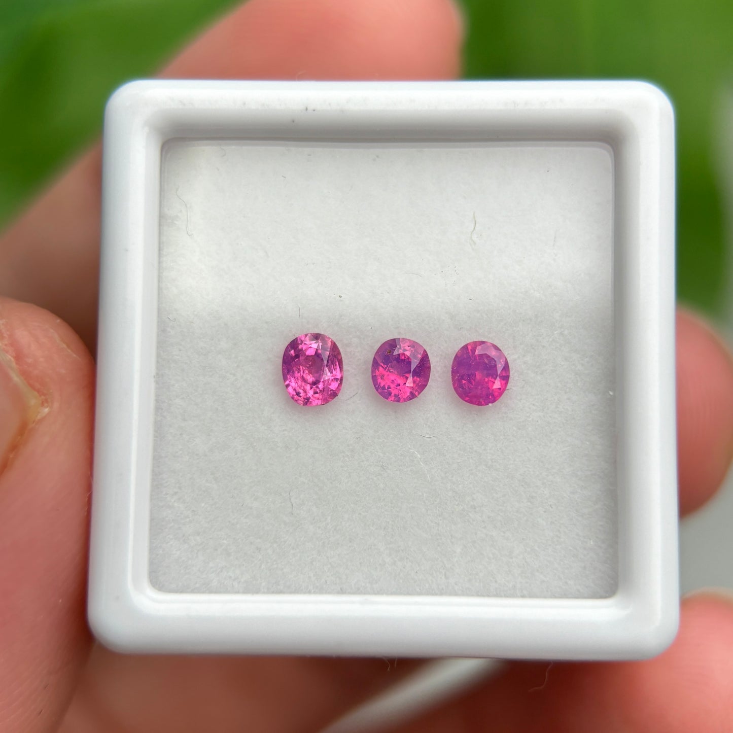 0,55ct/3Pcs Natural Pink Milky Sapphire Vietnam. Cushion Shape. No Treatment Milky Sapphire Luc Yen.