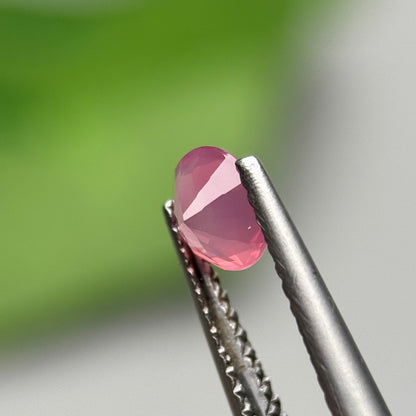 0.53 ct Natural Pink Milky Sapphire Vietnam. Oval Shape. No Treatment.