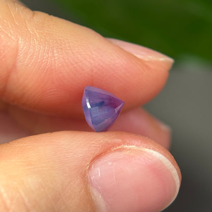 2.35ct Natural Purple Milky Sapphire Vietnam, No Treatment, Special Bird In The Stone