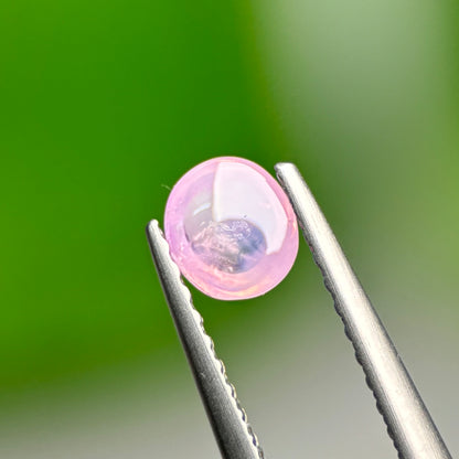 0.48ct Natural Pink Cacbochon Sapphire Viet Nam. No treatment Sapphire Luc Yen.