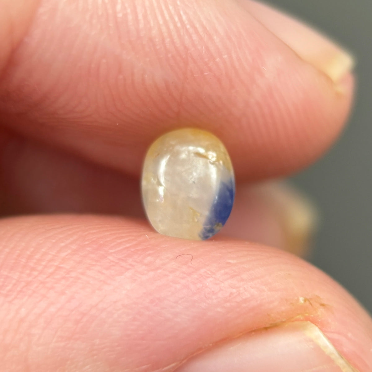1,43ct Natural Yellow Milky Cacbochon Sapphire Viet Nam. No Treatment Sapphire Luc Yen.