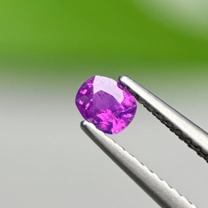 0.28 ct Natural Purple Sapphire Vietnam. Cushion Shape.
