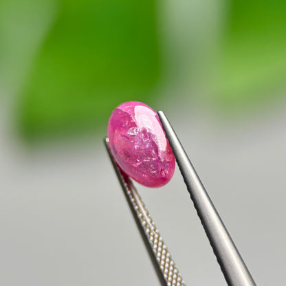 2.59ct Natural Ruby Cacbochon Viet Nam. No treatment Ruby Luc Yen.