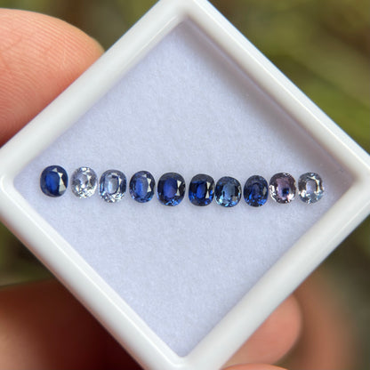 1,25ct/ 10Pcs Natural Blue & White Sapphire Viet Nam. Cushion Shape. No Treatment Sapphire Luc Yen.
